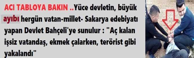 ACI TABLOYA BAKIN ..Yüce devletin, büyük ayIbı, her gün vatan-millet- Sakarya edebiyatı yapan Devlet Bahçeli'ye sunulur : 