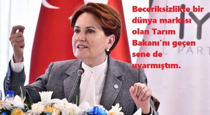 AKŞENER'den, AKP iktidarına 