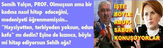 Semih Yalçın, PROF. Olmuşsun ama bir kadına nasıl hitap  edeceğini, medeniyeti öğrenmemişsin..  