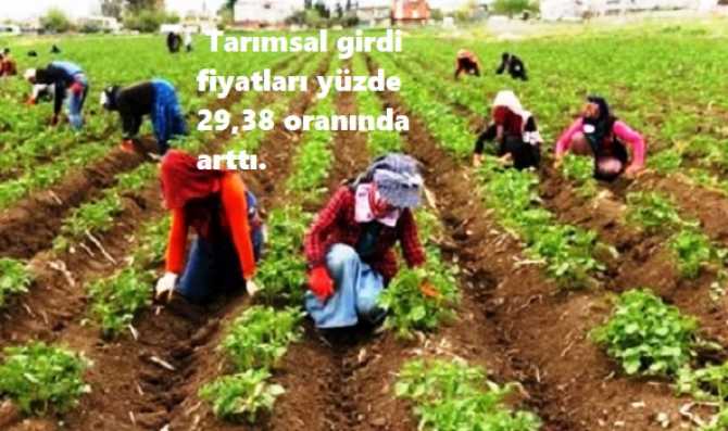 MARKETLERDE ARANAN FAHİŞ FİYATLARIN KAYNAĞI TARLALARDA ÇIKTI