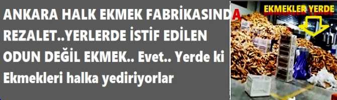 ANKARA HALK EKMEK FABRİKASINDA REZALET..YERLERDE İSTİF EDİLEN ODUN DEĞİL, EKMEK.. Evet.. Yerlerde yığılan Ekmekleri halka satıp, yediriyorlar