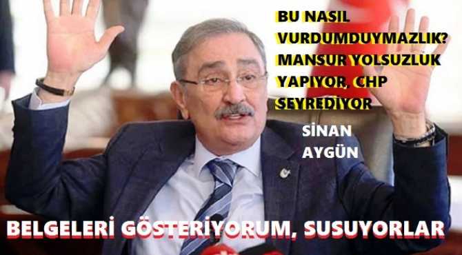 SİNAN AYGÜN : 