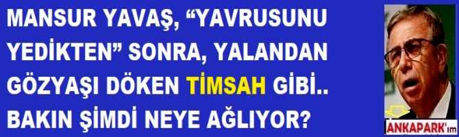 MANSUR YAVAŞ, “YAVRUSUNU YEDİKTEN” SONRA, YALANDAN GÖZYAŞI DÖKEN TİMSAH GİBİ.. BAKIN ŞİMDİ NEYE AĞLIYOR?