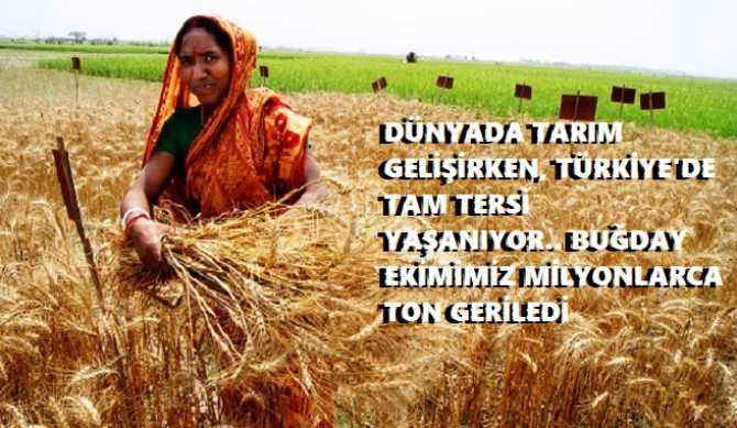 ALLAH; BİZİ BİLDİĞİ GİBİ YAPSIN.. TARIM ARAZİLERİNE BETONLAR DİKİYORUZ, HİNDİSTAN'DAN BUĞDAY İTHAL EDİYORUZ