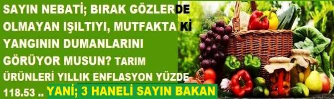 SAYIN NEBATİ; BIRAK GÖZLERDE OLMAYAN IŞILTIYI, MUTFAKTA Kİ YANGININ DUMANLARINI GÖRÜYOR MUSUN? TARIM ÜRÜNLERİ YILLIK ENFLASYON YÜZDE 118.53 .. YANİ 3 HANELİ SAYIN BAKAN