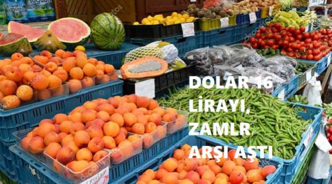 MALİYE ve TARIM BAKANLARI İSTİFA ETMELİDİRLER. DOLAR 16 LİRAYI AŞTI, TÜRKİYE; G-20 ÜLKERİ ARASINDA ZAM ŞAMPİYONU