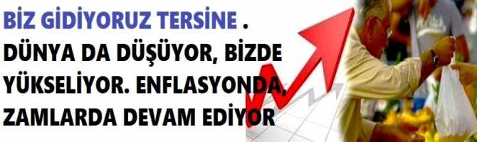 BİZ GİDİYORUZ TERSİNE . DÜNYA DA DÜŞÜYOR, BİZDE YÜKSELİYOR. ENFLASYONDA, ZAMLARDA DEVAM EDİYOR