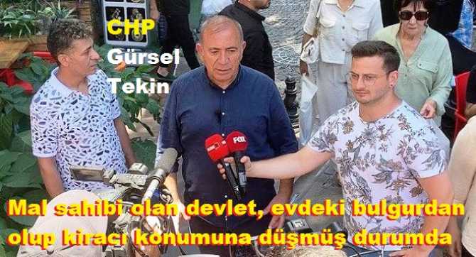 CHP MİLLETVEKİLİ GÜRSEL TEKİN : 