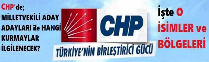 CHP'de; MİLLETVEKİLİ ADAY ADAYLARI ile HANGİ KURMAYLAR İLGİLENECEK? İşte O İSİMLER ve  BÖLGELERİ