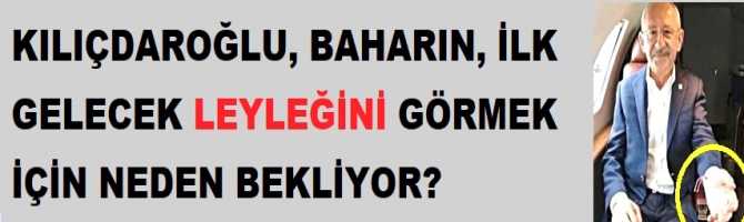 KILIÇDAROĞLU, BAHARIN, İLK GELECEK LEYLEĞİNİ GÖRMEK İÇİN NEDEN BEKLİYOR?