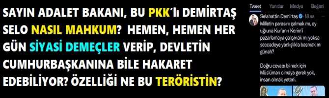 SAYIN ADALET BAKANI, BU PKK’lı DEMİRTAŞ SELO NASIL MAHKUM?  HEMEN, HEMEN HER GÜN SİYASİ DEMEÇLER VERİP, DEVLETİN CUMHURBAŞKANINA BİLE HAKARET EDEBİLİYOR? ÖZELLİĞİ NE BU TERÖRİSTİN?