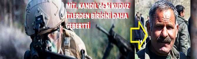 MİT, KANDİL'de ki KUDUZ İTLERDEN BİRİSİNİ DAHA GEBERTTİ