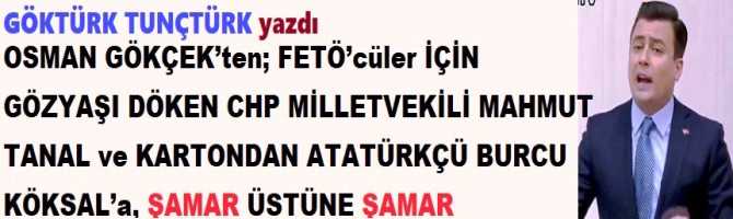 OSMAN GÖKÇEK’ten; FETÖ’cüler İÇİN GÖZYAŞI DÖKEN CHP MİLLETVEKİLİ MAHMUT TANAL ve KARTONDAN ATATÜRKÇÜ BURCU KÖKSAL’a, ŞAMAR ÜSTÜNE ŞAMAR