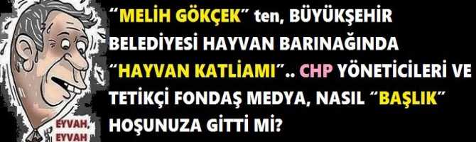 “MELİH GÖKÇEK” ten, BÜYÜKŞEHİR BELEDİYESİ HAYVAN BARINAĞINDA “HAYVAN KATLİAMI”.. CHP YÖNETİCİLERİ VE TETİKÇİ FONDAŞ MEDYA, NASIL “BAŞLIK” HOŞUNUZA GİTTİ Mİ?