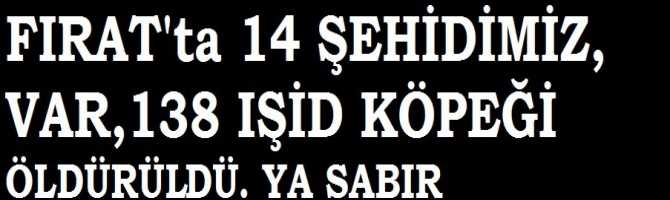 FIRAT'ta; 14 ŞEHİDİMİZ VAR, 138 IŞİD'li KUDUZ KÖPEK ÖLDÜRÜLDÜ