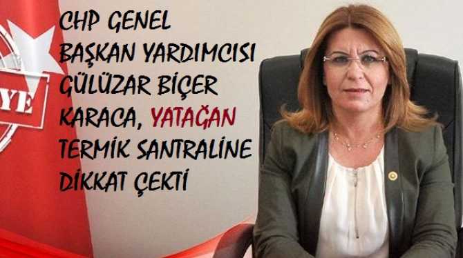 CHP'Lİ GÜLİZAR BİÇER : 