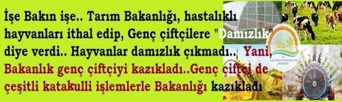 İşe Bakın işe.. Tarım Bakanlığı, hastalıklı hayvanları ithal edip, Genç çiftçilere 