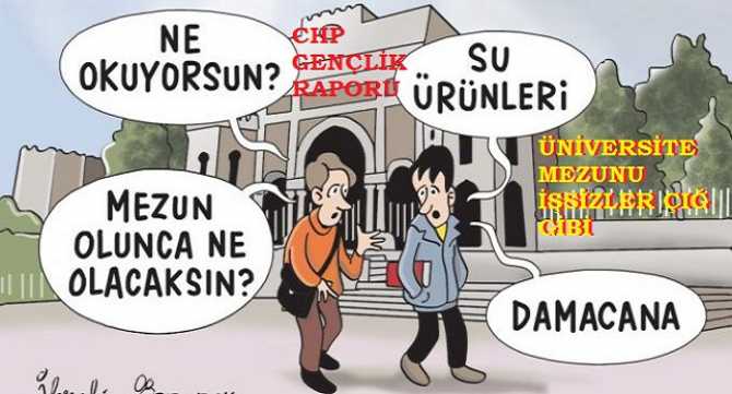 CHP Raporu : 