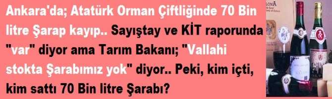 Ankara'da; Atatürk Orman Çiftliğinde 70 Bin litre Şarap kayıp.. Sayıştay ve KİT raporunda 